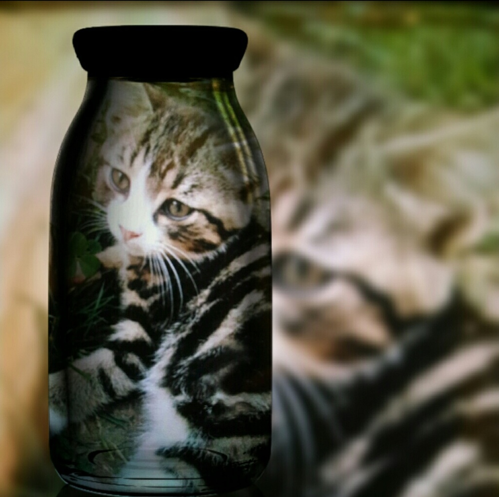 Meet your Posher, Alexia